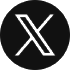 X icon